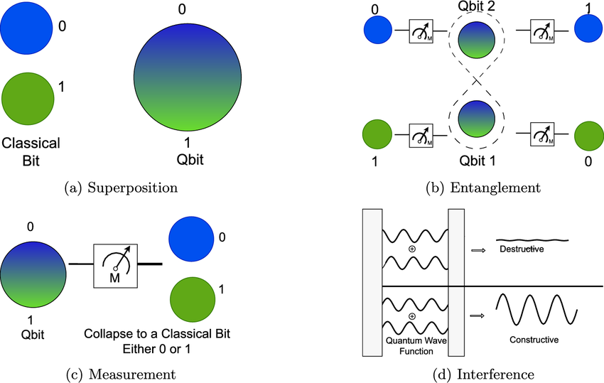Superposition, entanglement, measurement, and interference processes of a quantum system
